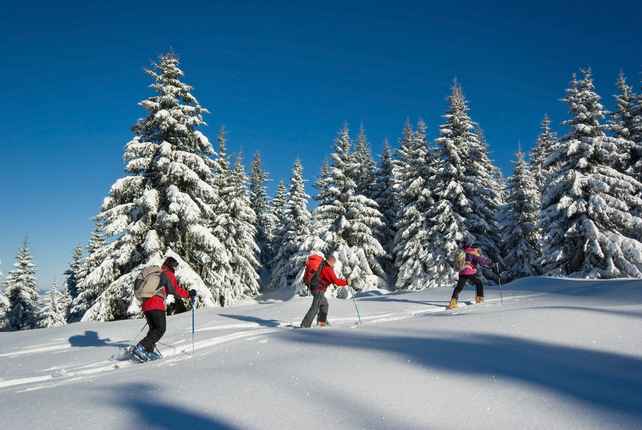 grenoble ski